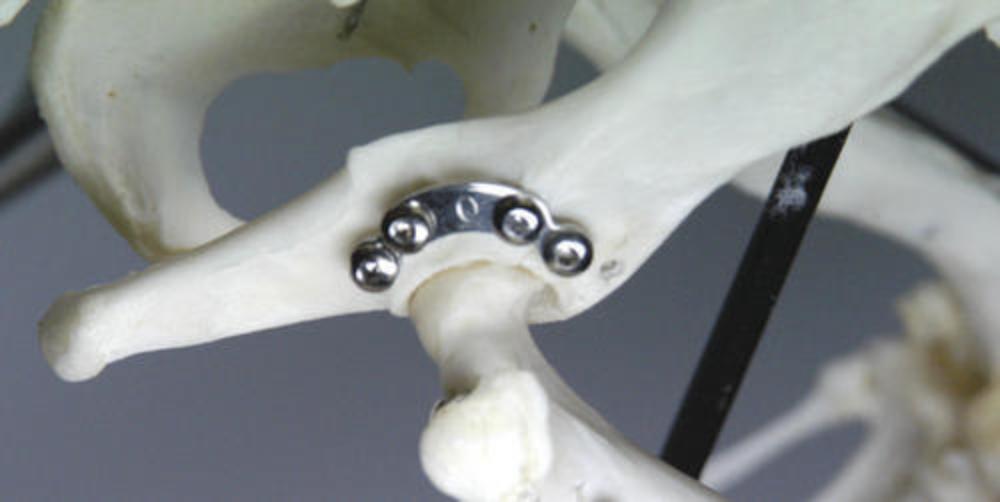 Acetabulum-Platte 4 Loch, Größe 1, 2,0 mm (AP200401)