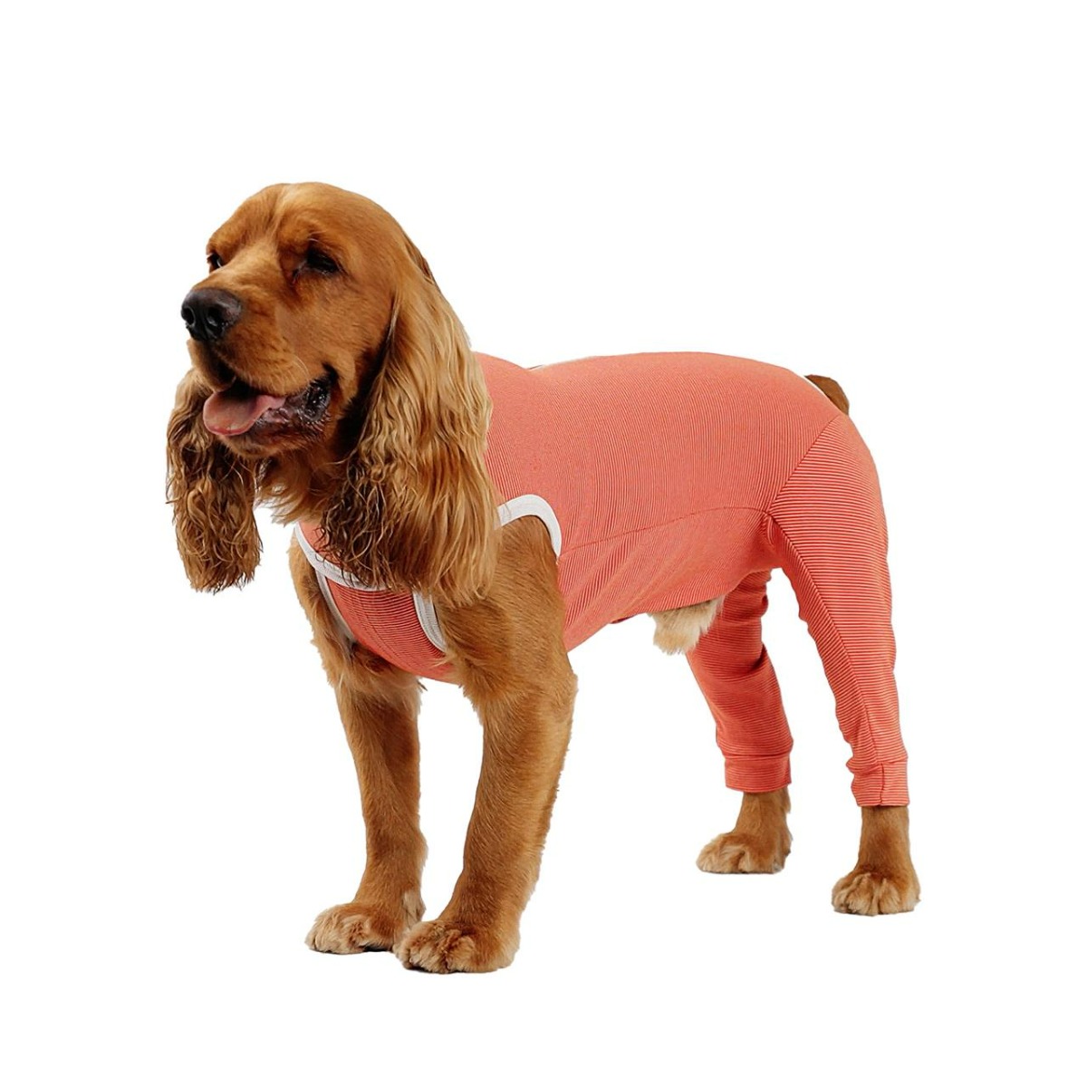 Luna & Milo CopperBody Hind Legs #00