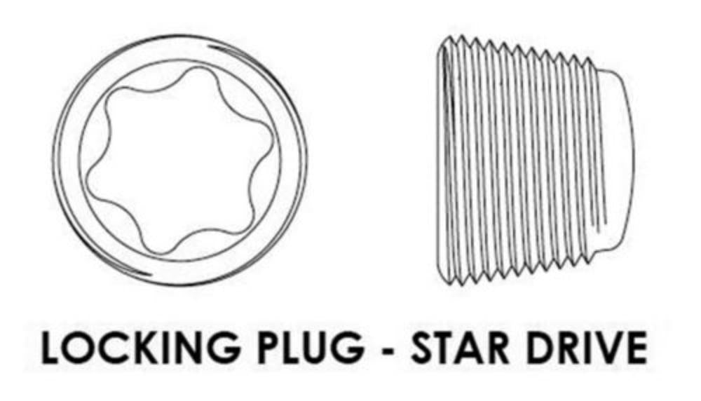 Locking-Plug für LS2724 + 2424 STAR-Schrauben LSP24STAR