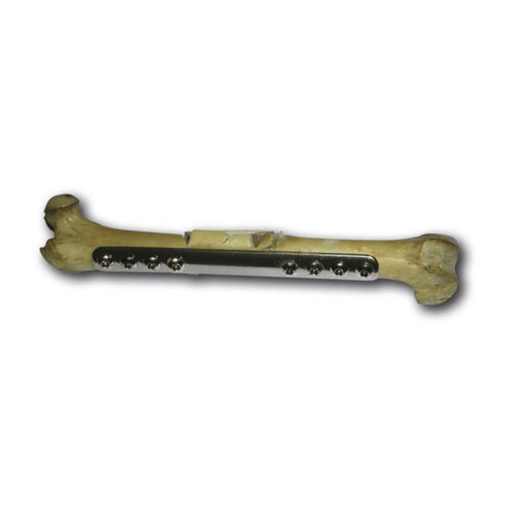 Biolog.Heilungsplatte 2,7mmx81mm 8 Loch BHP2708081