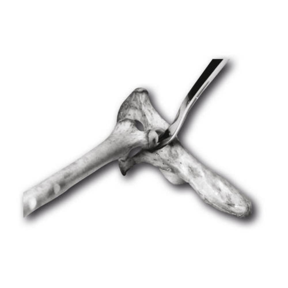 Luxator klein 145mm - 001090