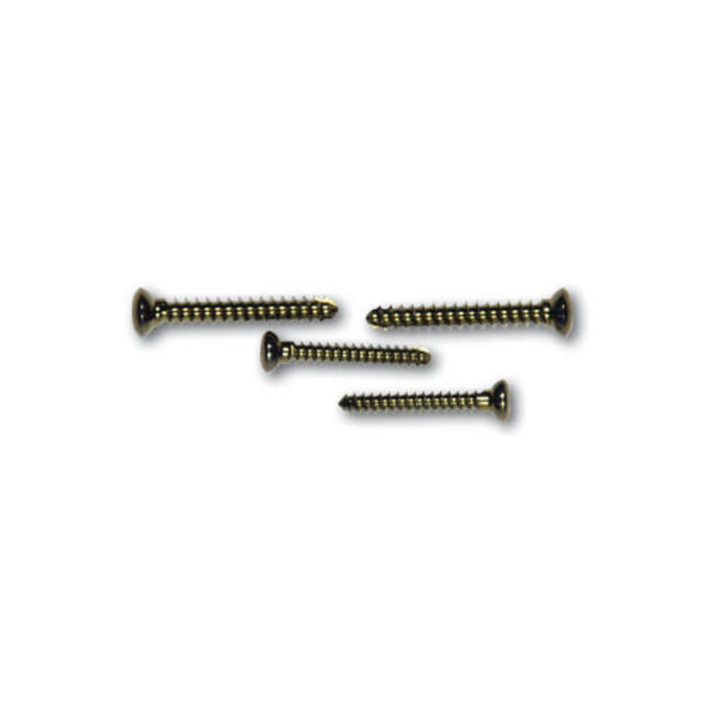 3,5mm Kortikalisschraube selbstschn., Hex-Kopf, 22mm lang Titan (TICS3522)
