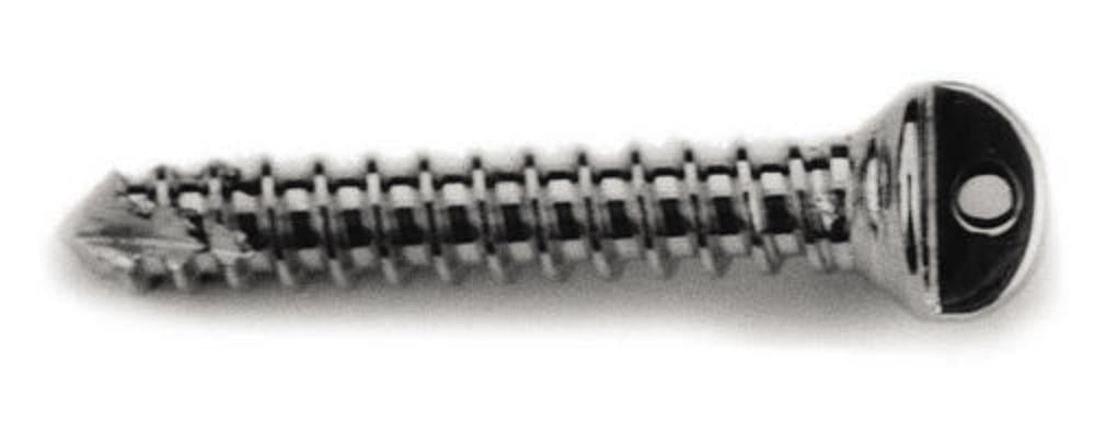 Ankerschrauben Ø 2,0 x 6 mm, 1,0 mm Öse/ Kortikal (SS2006)