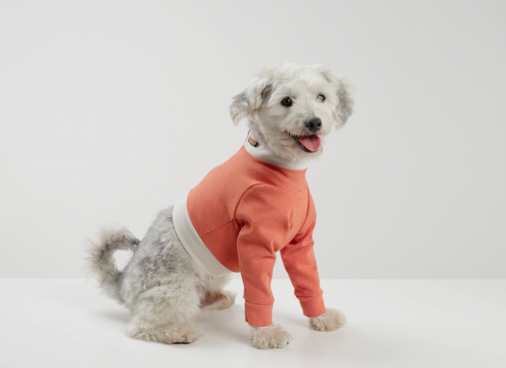 Luna & Milo CopperBody Front Legs #6/7