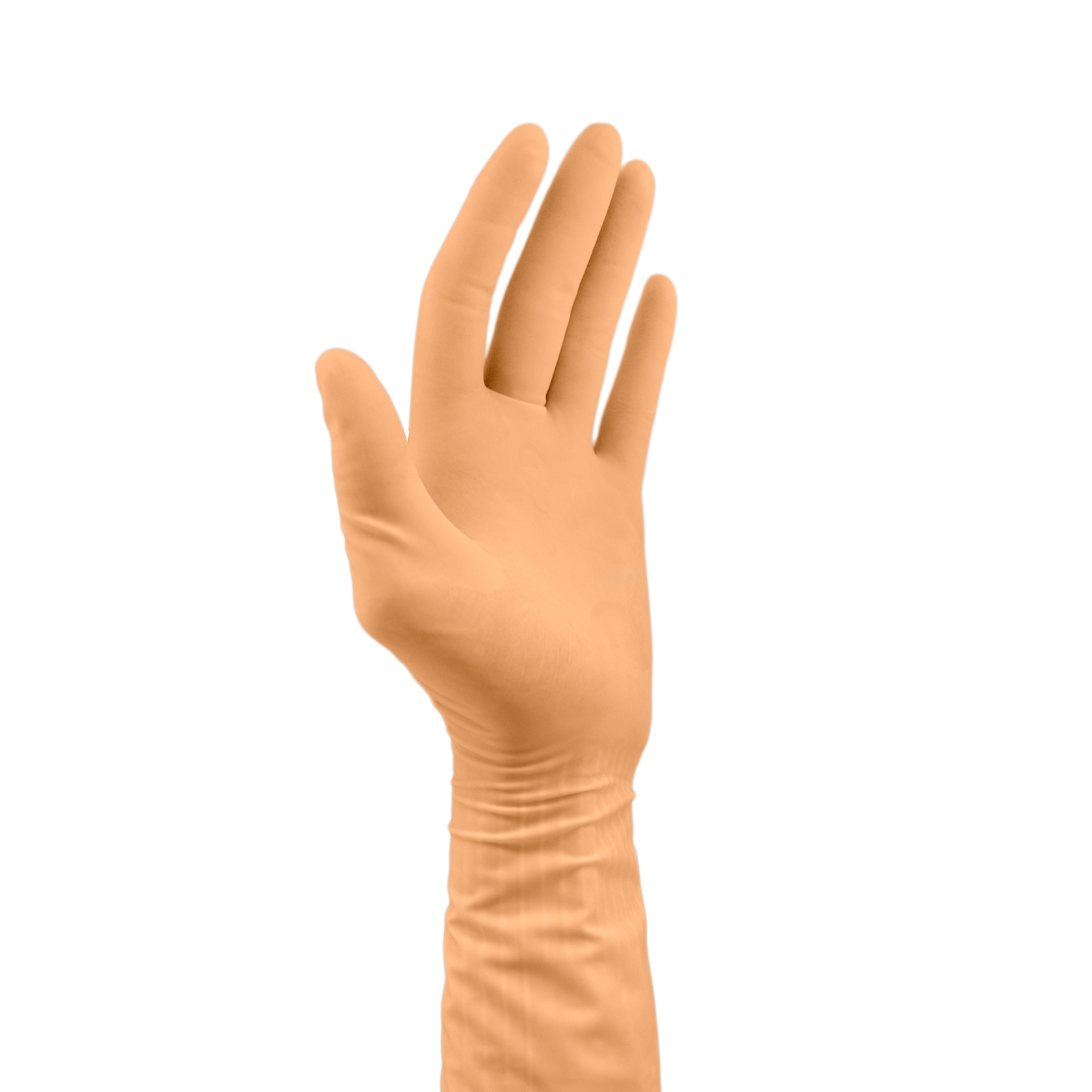 Protexis® Latex OP-Handschuhe - Größe 8, 50 Stück | Cardinal Health